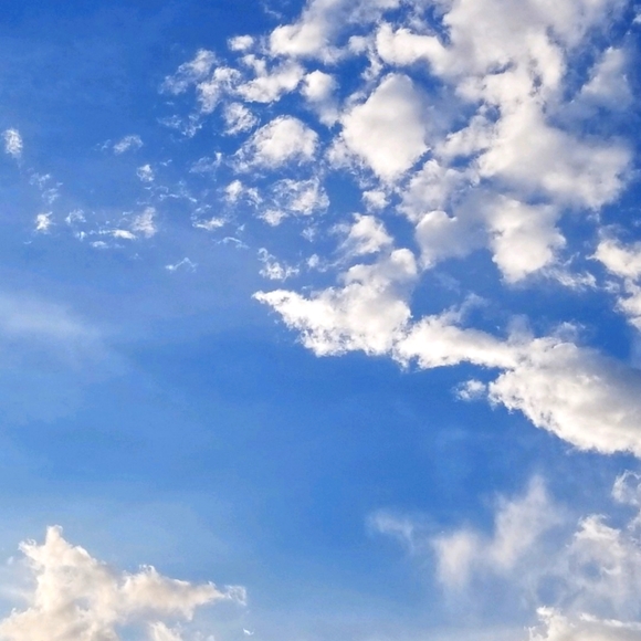 Meet your Posher, Linda - Picture 1 of 1